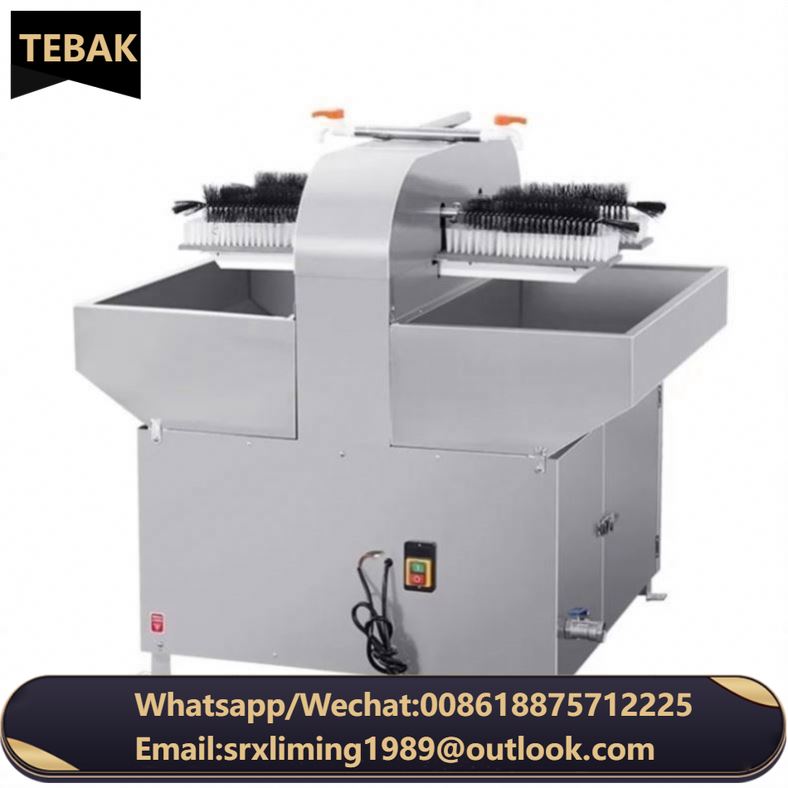 TEBAK Commercial 4-Head Semi-Automatic Brush Bottle Washing Machine