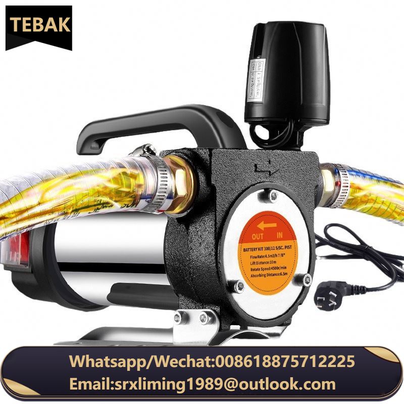 TEBAK Factory Portable Oil Transfer 12V24V220V Automatic Shutdown Electric Oil Pump for Extracting Grease Efficiently