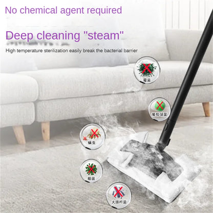 TEBAK Sofa Steam Extractions Vacuum Cleaner With Ce Multi-Functional Dry Foam Sofa Carpet Steam Cleaning Machine