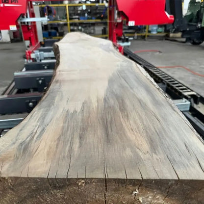 A TEBAK Large Horizontal Gantry Sawing Machine Automatic Sawmill Price Electric Power Automatic Band Saw Saw Board diesel Sawmill