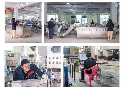 TEBAK Plant Washing Clam Food Processing Plant Washing Food Processing Plant Spinach Date Washing