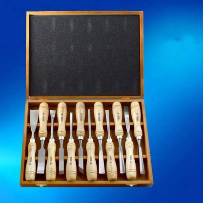 TEBAK HOT SEAL 12pcs Woodworking Tools Chisel Set Wood Chisel Tool Set Turning Tools Lathe Carving Hand Chisel with Storage Case