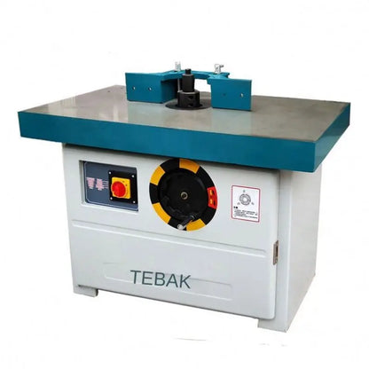 A TEBAK XJ-20 High Quality Woodworking Spindle Moulder Machine Mx5117b End Miller Automatic Wood Shaper Cutter