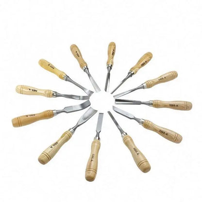 TEBAK HOT SEAL 12pcs Woodworking Tools Chisel Set Wood Chisel Tool Set Turning Tools Lathe Carving Hand Chisel with Storage Case