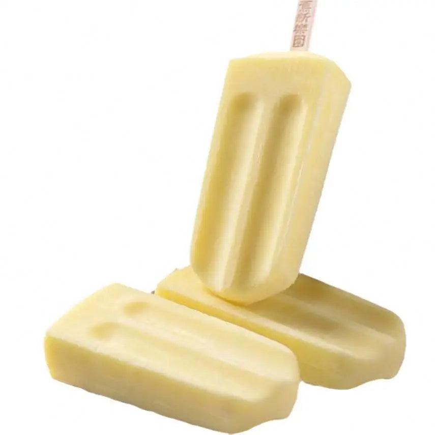 TEBAK Processing Ice Cream Stainless Steel Popsicle Mold Industrial Commercial Popsicle Stick Holder Molds for Ice Cream Pallet