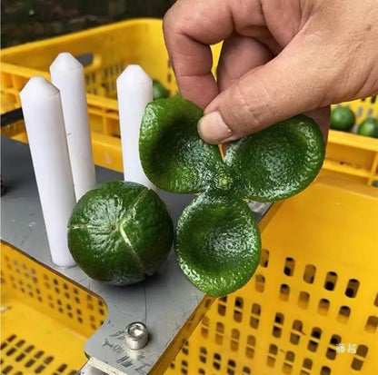 TEBAK Stainless Steel Hand Press Tangerine Peel Peeling Equipment Commercial Mandarin Orange Peeler Machine