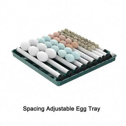 Automatic Temperature Egg Incubator Factory Best Price 15/30/48/70/130 Pcs Mini Automatic  Water SupplyChicken Egg Incubator