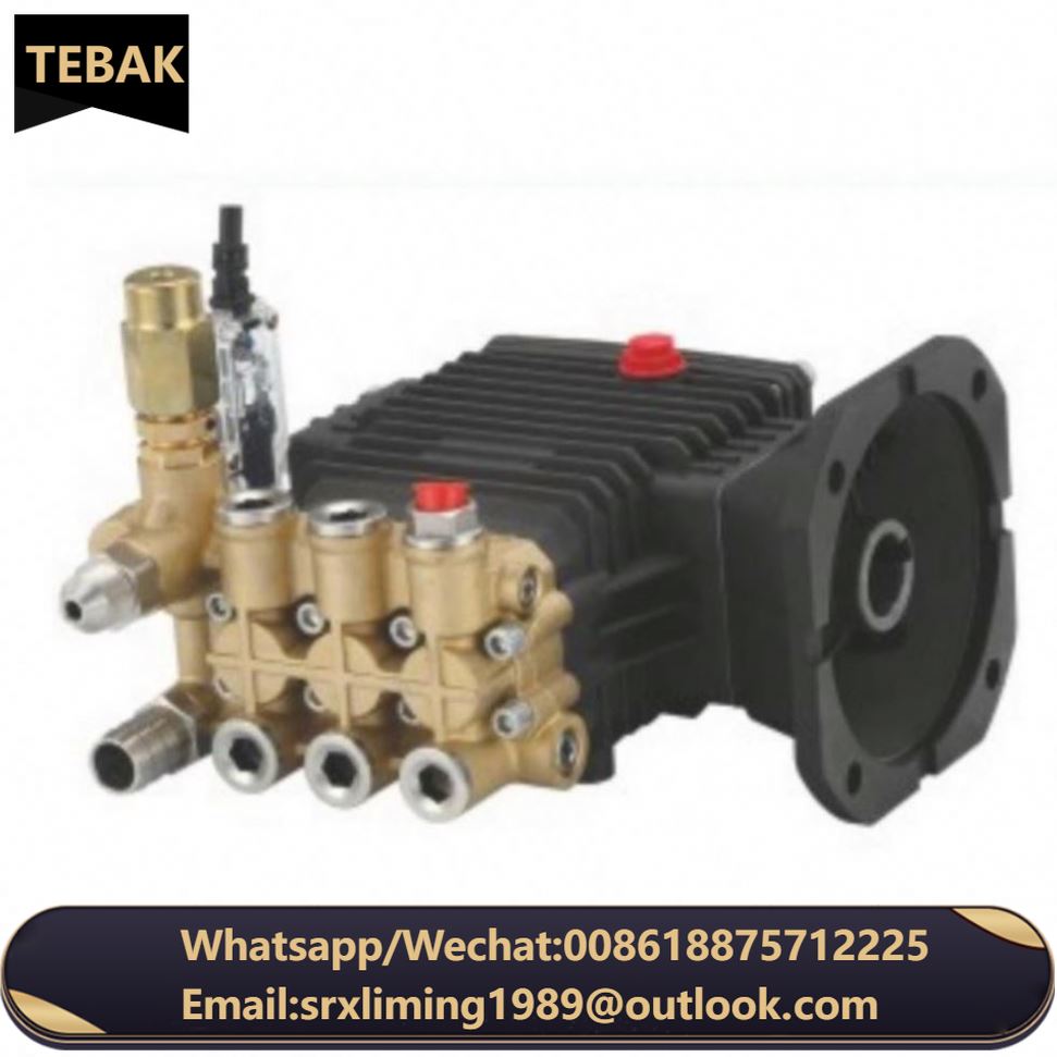 TEBAK CX-29 2023 High Pressure Water Pump - Replacement Pump for Any Kinds of High Pressure Washer