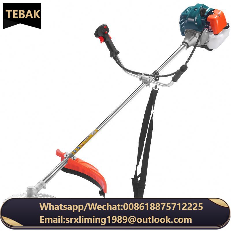 4 Stroke Knapsack Type 2 in 1 Grass Shrub Multi-functional Agricultural Gasoline Injector Irrigation Machine