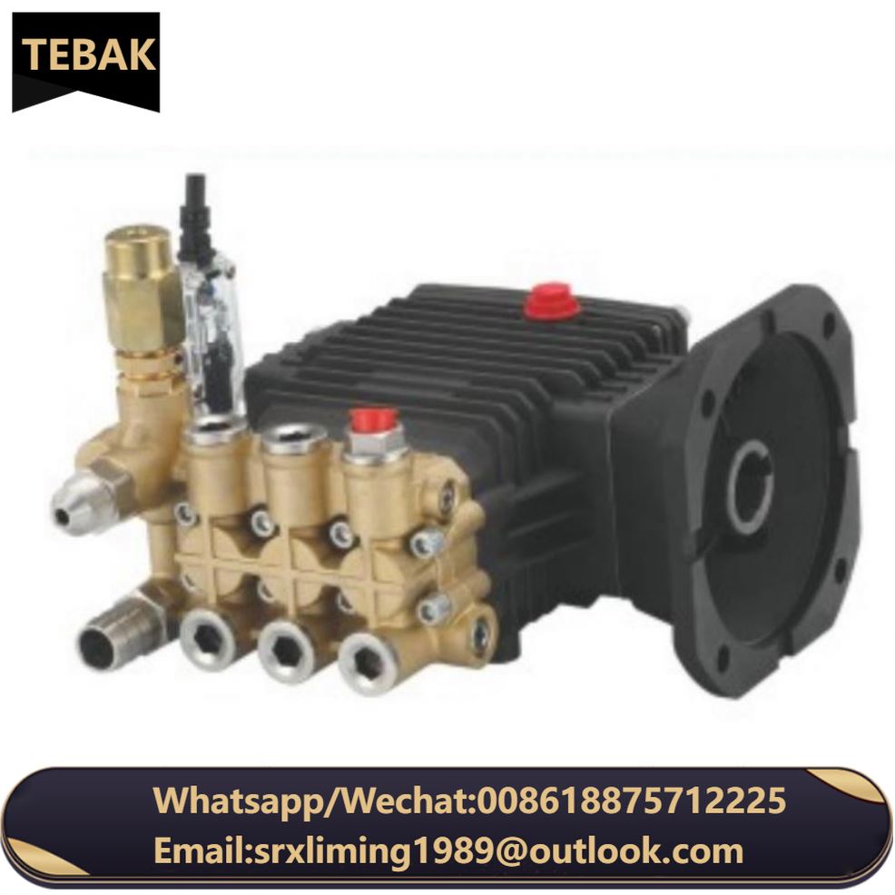 TEBAK CX-29 2023 HOT SELLING FACTORY 100 bar 2 Output Pressure Washer