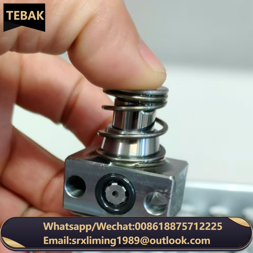 R RG Series Hydraulic Pumps Parts Radial Piston Pump Element MPE4,MPE5,MPE6,MPE7,MPE8,MPE9,MPB,PE Kamishiro R Pump Repair